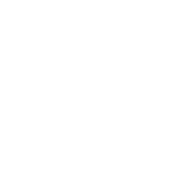 DOTS OS